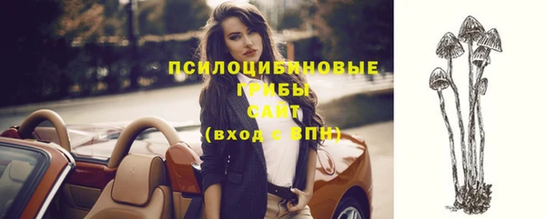 спиды Иннополис