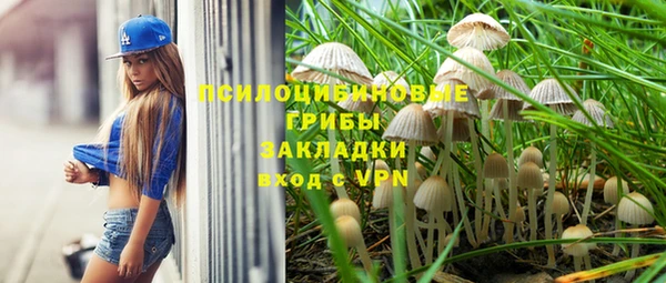 каннабис Инта