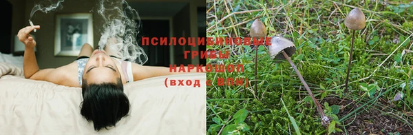 спиды Иннополис