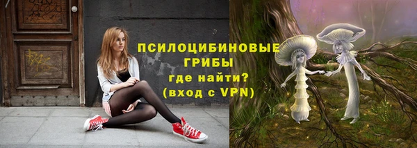 спиды Иннополис