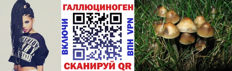 наркошоп  Долгопрудный  Галлюциногенные грибы Magic Shrooms 